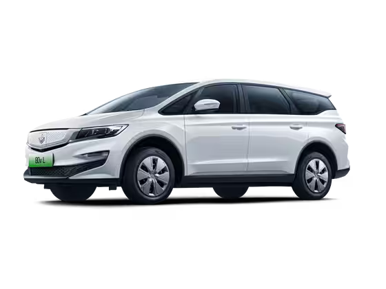 Livan Maple 80V L