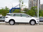Livan Maple 80V L